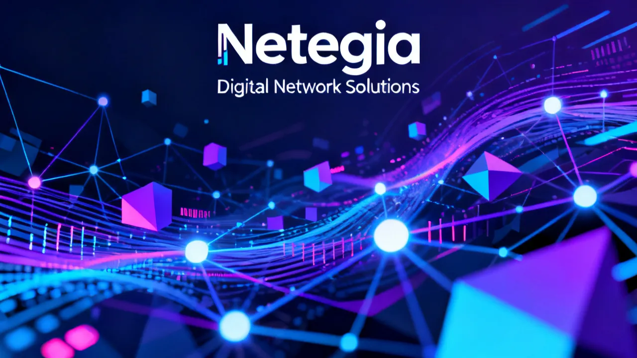 Exploring Netegia's Digital Solutions
